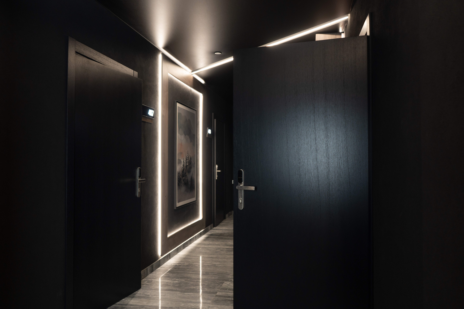 Шпоновані темні двері